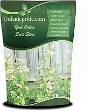 Outsidepride Buckwheat Seeds - 10lbs Annual, Fast-Growing, Easy to Grow Buckwheat Cover Crop Seeds f