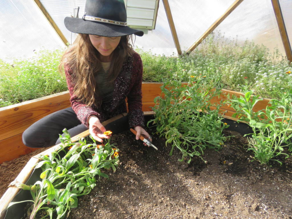 Gardener tending to plants in a Growing Dome greenhouse