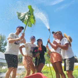 UW Farm staff spraying water with a hose on a sunny day