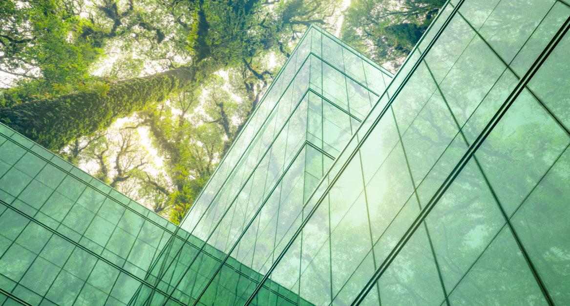 RegenX - net zero carbon