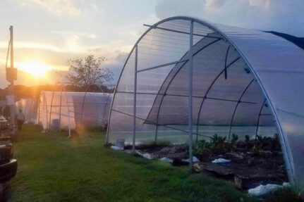 small farming, gardening, micro farming, sustainable agriculture - Seed Saving & Storage