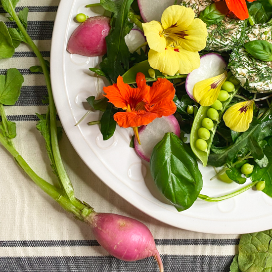 growing edible flowers, culinary flowers, cultivation tips, harvesting, recipes - How to Grow Edible Flowers