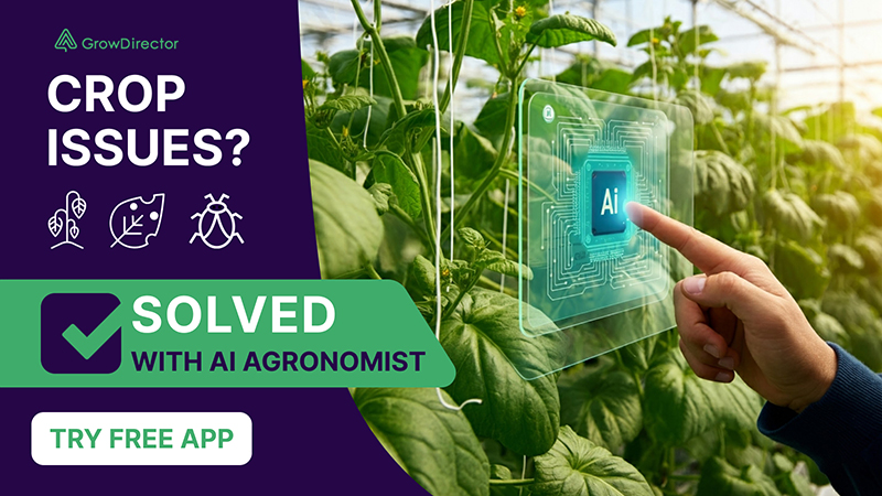 greenhouse farming, controlled environments, crop protection, season extension, greenhouse management - Greenhouse Farming