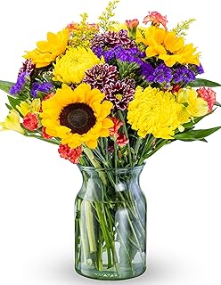 Benchmark Bouquets - Flowering Fields Sunflower Bouquet - Fresh Flowers for Delivery - Real Flowers 