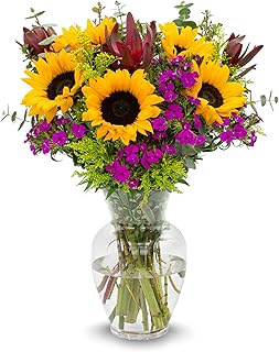 Stargazer Barn - Wildflower Bouquet (Includes Glass Vase) - Next Day Fresh Flower Delivery - Gift fo