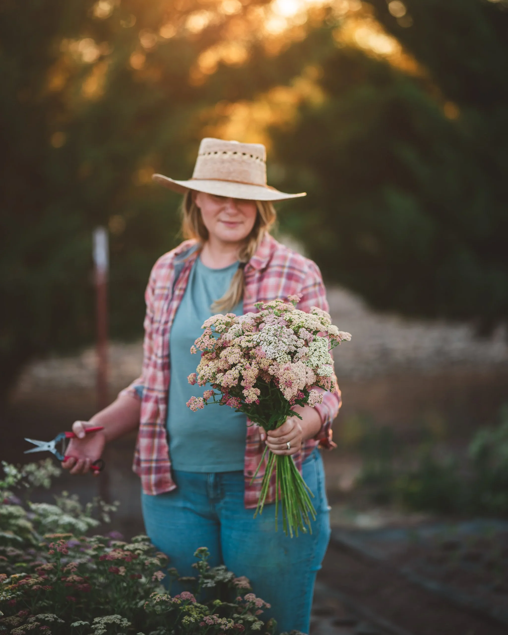 flower farming, business insights, market strategies, profitability, flower sales - Flower Farm Business Insights