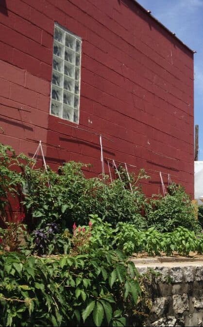 vertical-gardens-and-a-compact-greenhouse-nested-into-a-hot-corner-of-a-parking-lot_1